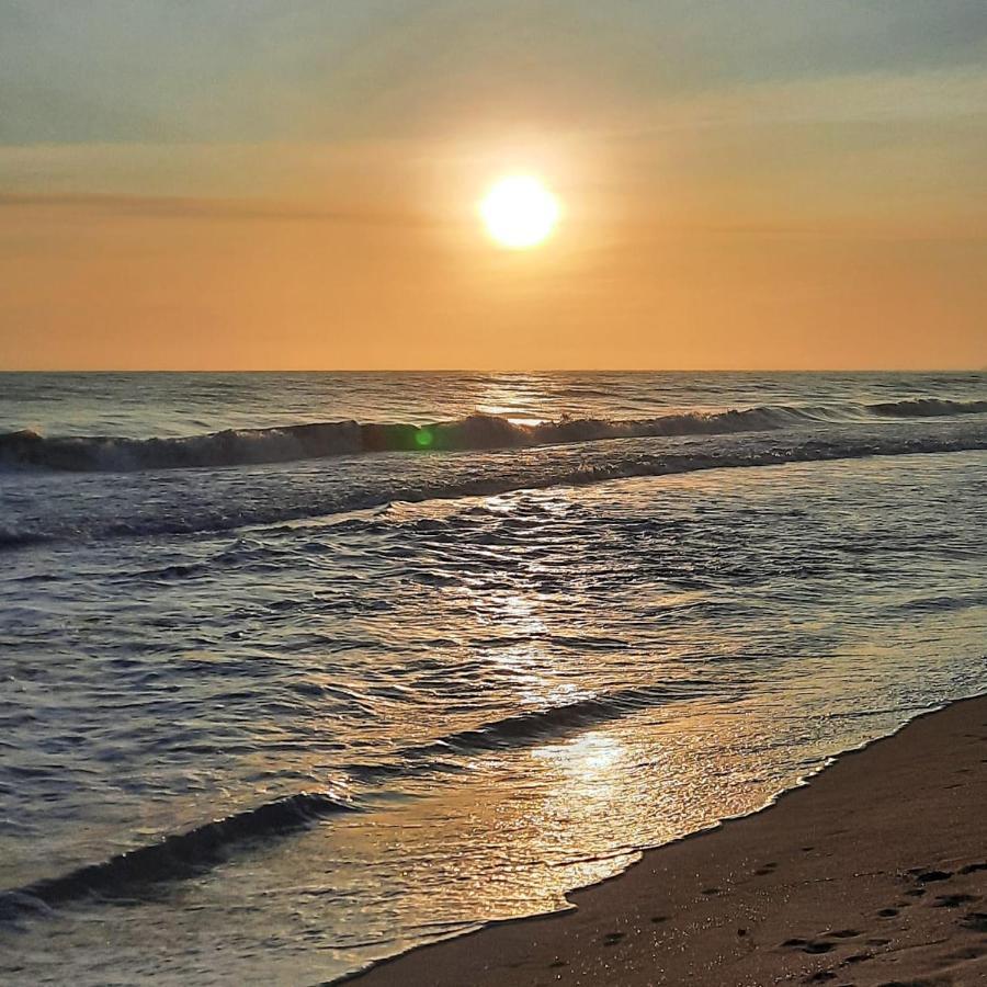 Rincon Del Mar Palomino Bed & Breakfast Dış mekan fotoğraf